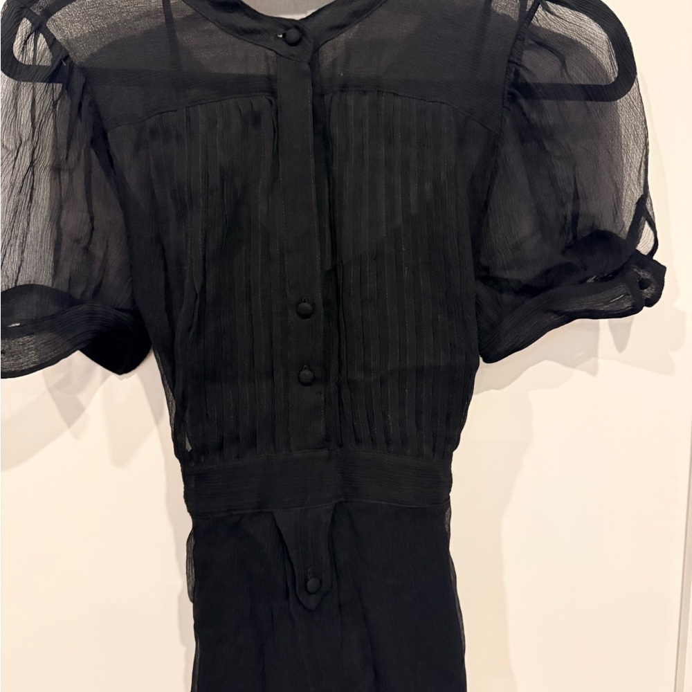 BCBG Elegant Black Sheer Blouse